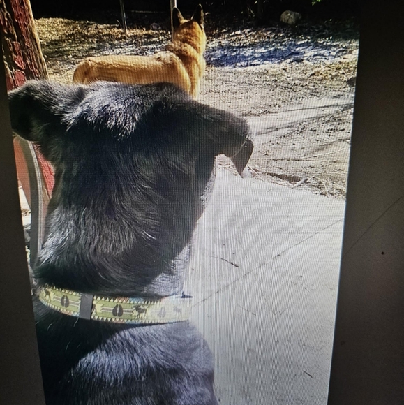 Meet your Posher, Amy - Picture 10 of 10